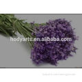 Natural dried Lavender